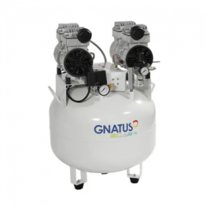 Compresor Gnatus 65lts